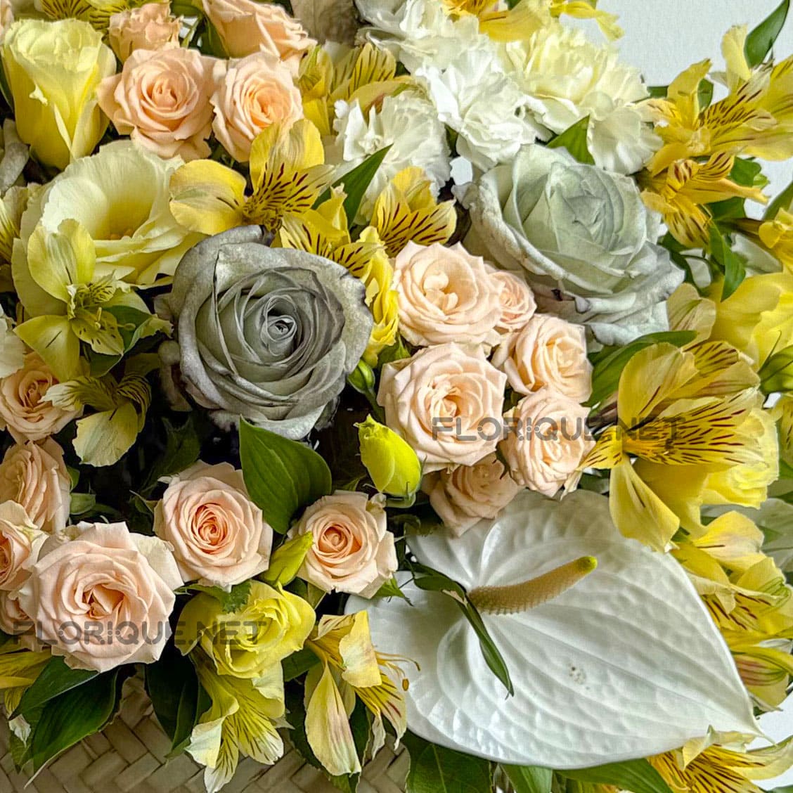 باکس گل آلیس نمای بسته